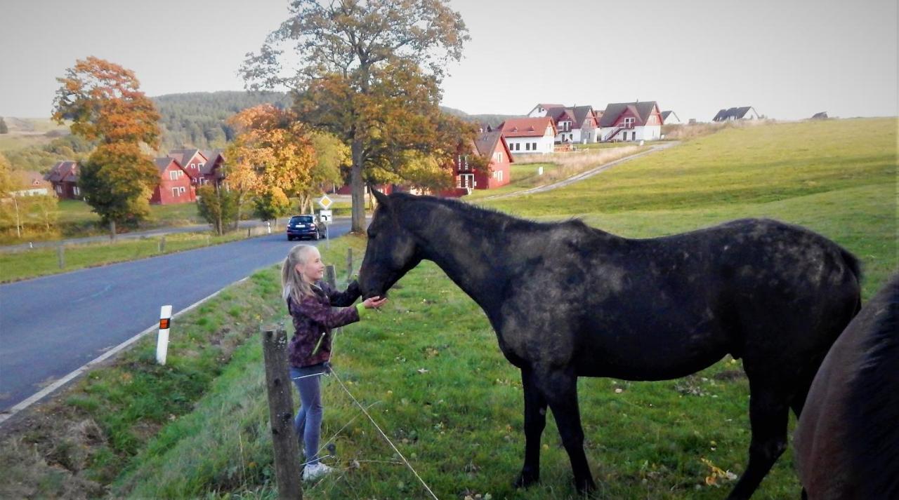 Chata Roubenka - Jesenka Dolní Moravice Buitenkant foto