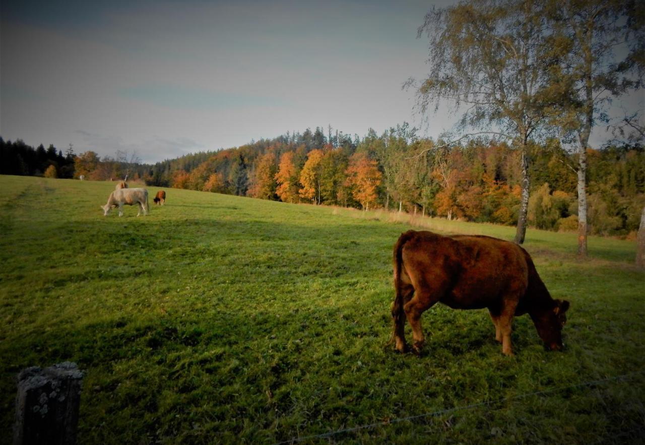 Chata Roubenka - Jesenka Dolní Moravice Buitenkant foto
